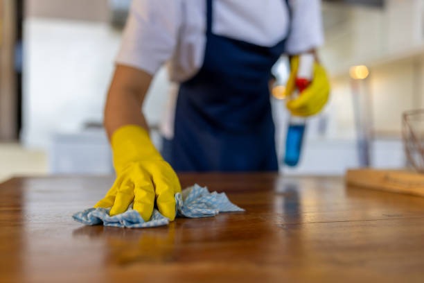 Why Offices Should Invest in Professional Commercial Cleaning in Tampa