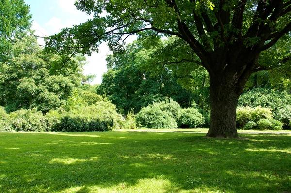Fertilizing Your Garden: What&rsquo;s Missing?